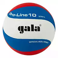 фото Мяч волейбольный Gala Pro-Line 10