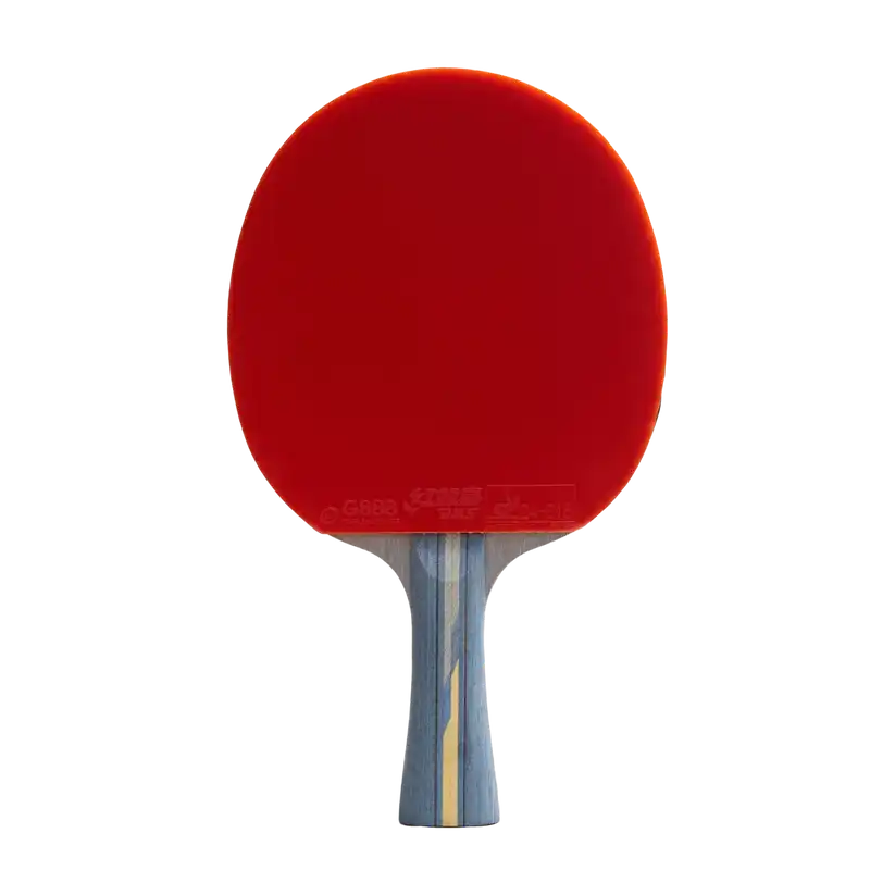 фото Ракетка для настольного тенниса DHS R4002C Carbon в интернет-магазине спортивных товаров МЯЧИКИ