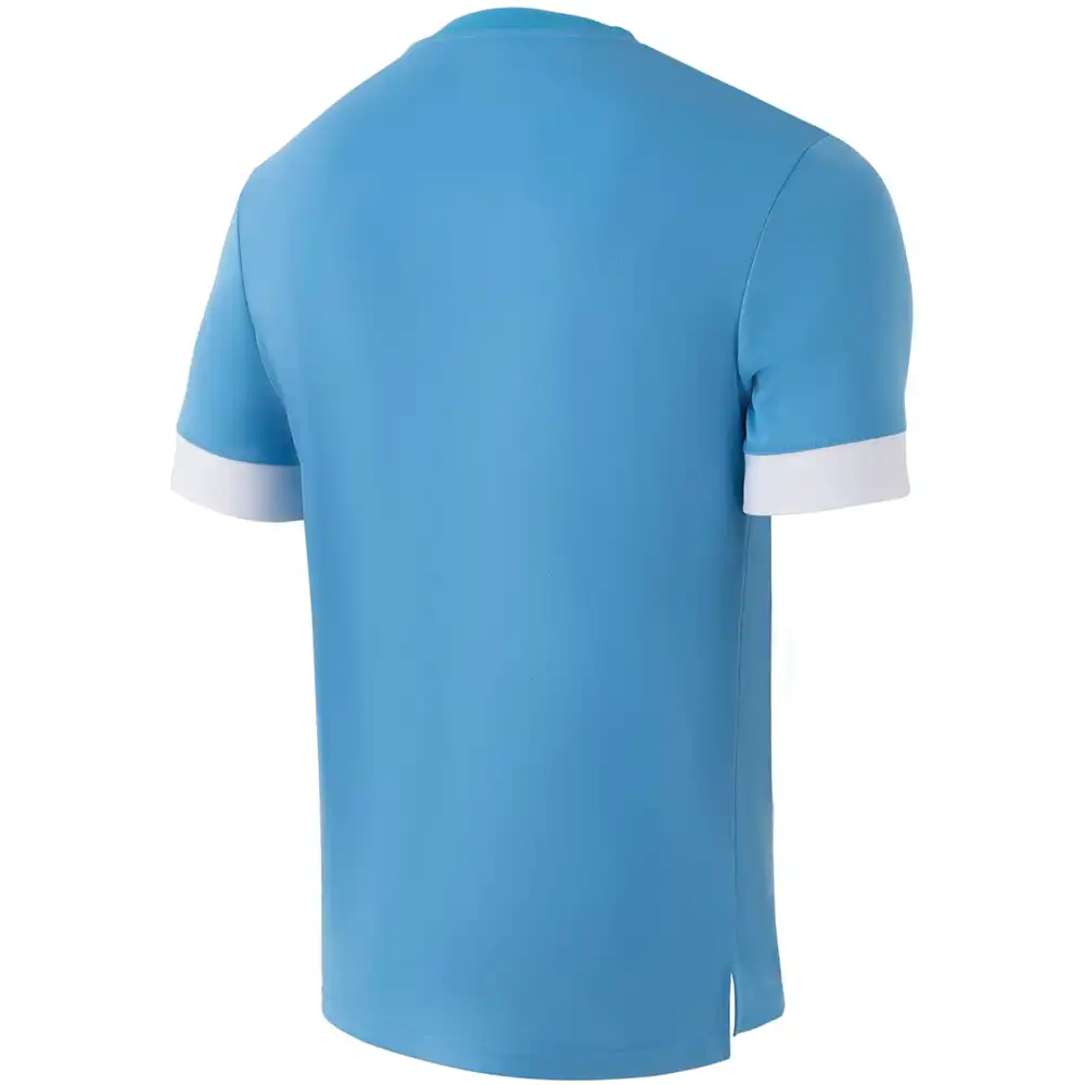 фото Футболка игровая DIVISION PerFormDRY Union Jersey, голубой/белый/белый в интернет-магазине спортивных товаров МЯЧИКИ