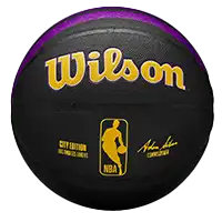 фото Мяч баскетбольный 7 Wilson NBA TEAM CITY COLLECTOR Los Angeles Lakers
