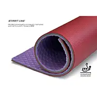 фото Профессиональное напольное покрытие для настольного тенниса ITTF 4,5 мм(красное) в интернет-магазине спортивных товаров МЯЧИКИ
