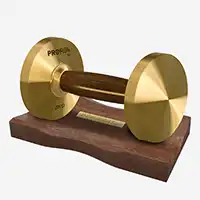 фото Proiron Гантель из латуни и орехового дерева 3 кг  с подставкой, арт. Г1030ЛО в интернет-магазине спортивных товаров МЯЧИКИ