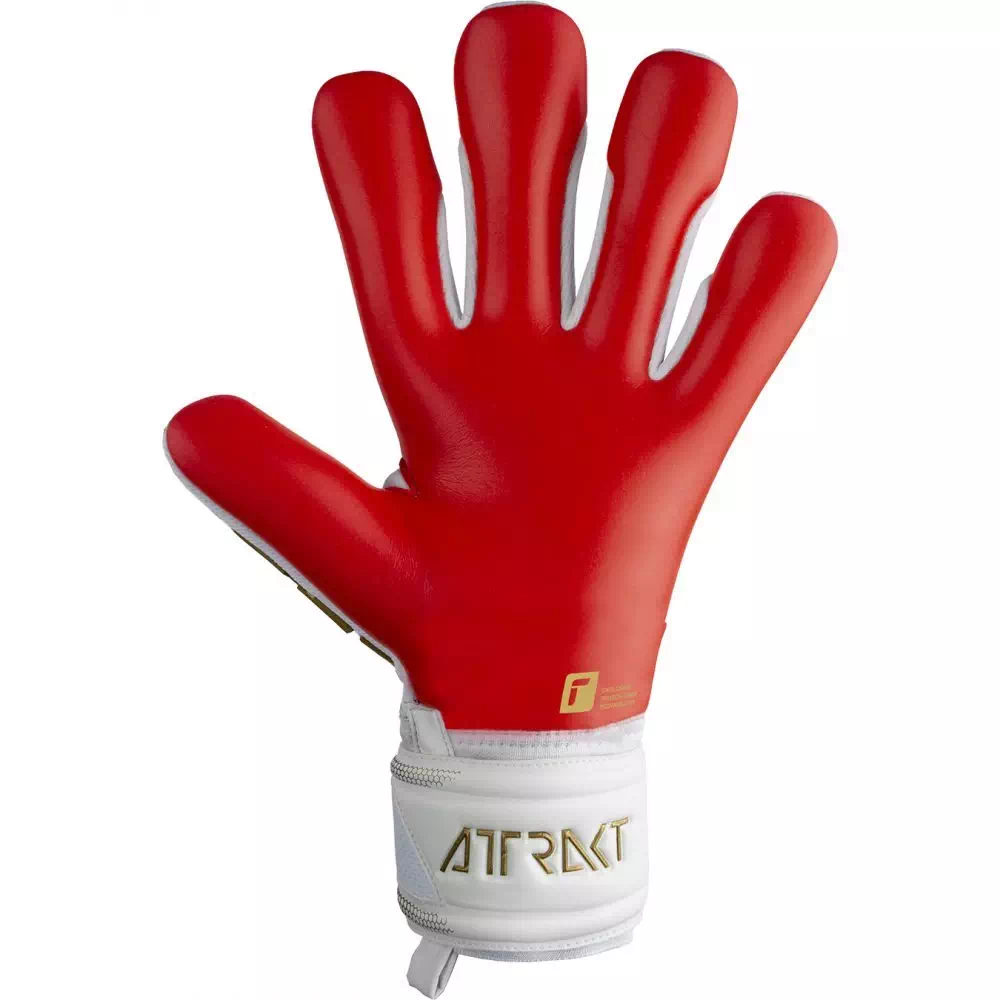 фото Вратарские перчатки REUSCH Attrakt Freegel Silver в интернет-магазине спортивных товаров МЯЧИКИ