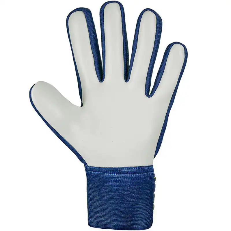 фото Вратарские перчатки REUSCH Attract Junior  Starter Solid в интернет-магазине спортивных товаров МЯЧИКИ