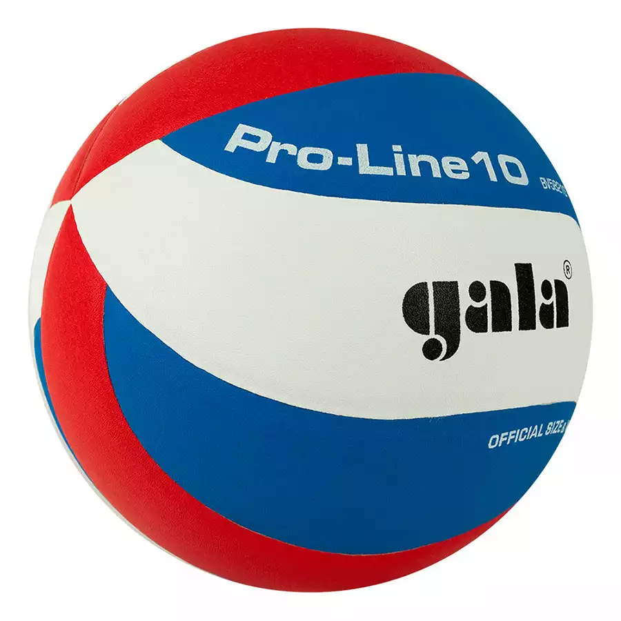 фото Мяч волейбольный Gala Pro-Line 10