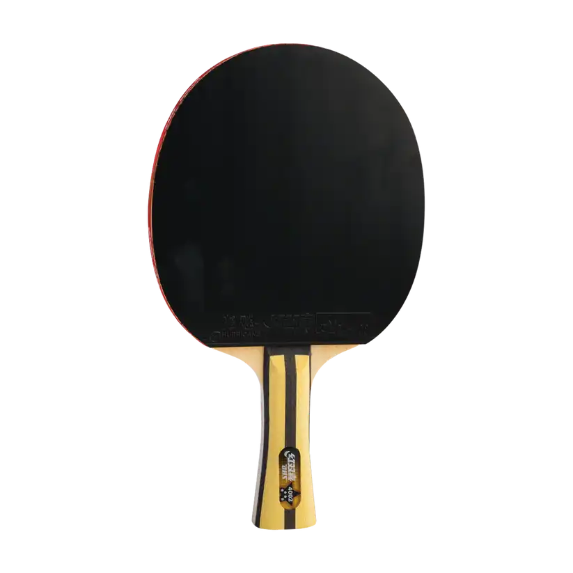 фото Ракетка для настольного тенниса DHS R4002 в интернет-магазине спортивных товаров МЯЧИКИ