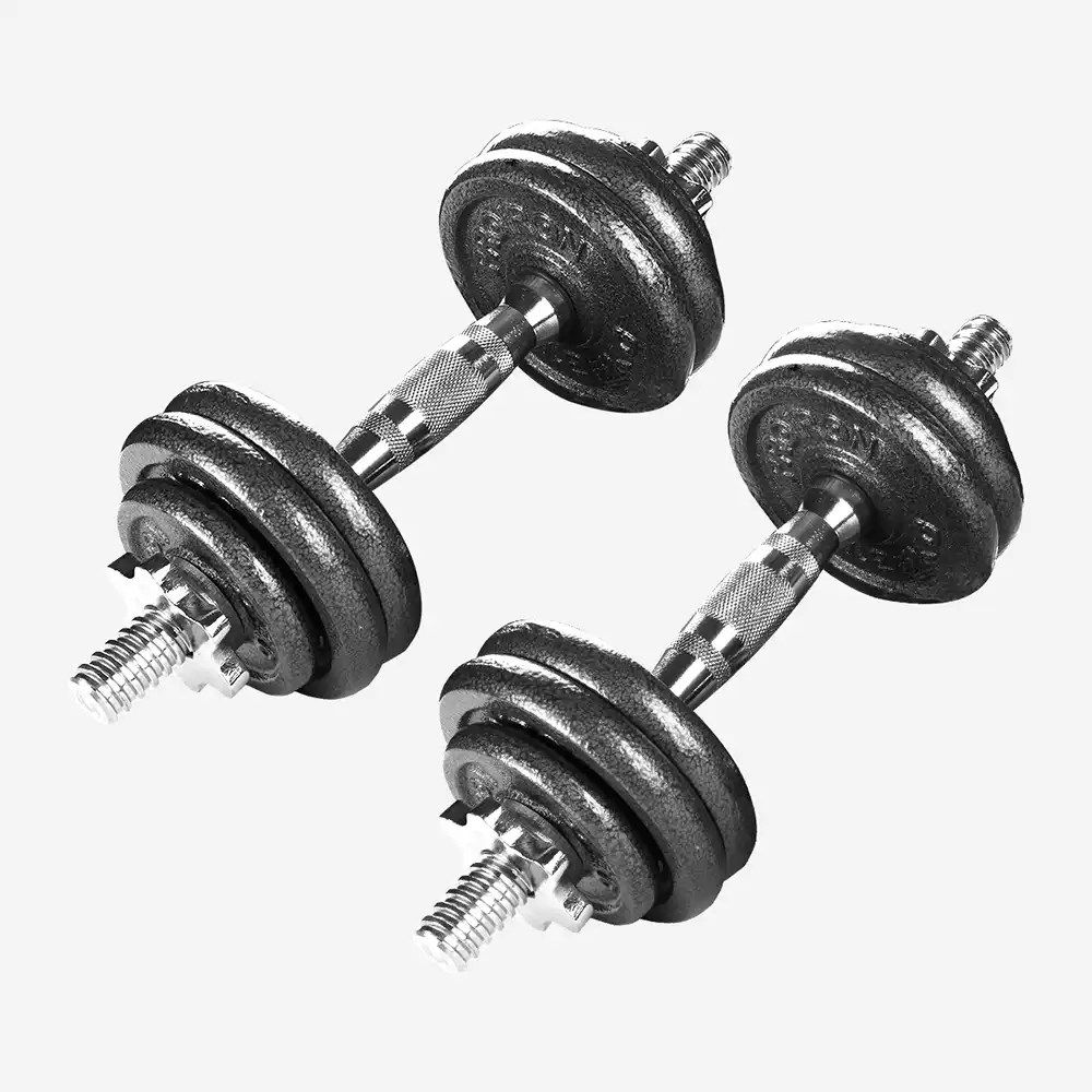 фото  Proiron Гантели разборные из чугуна с грифом 2шт. по 10кг, арт. Г2100Ч в интернет-магазине спортивных товаров МЯЧИКИ