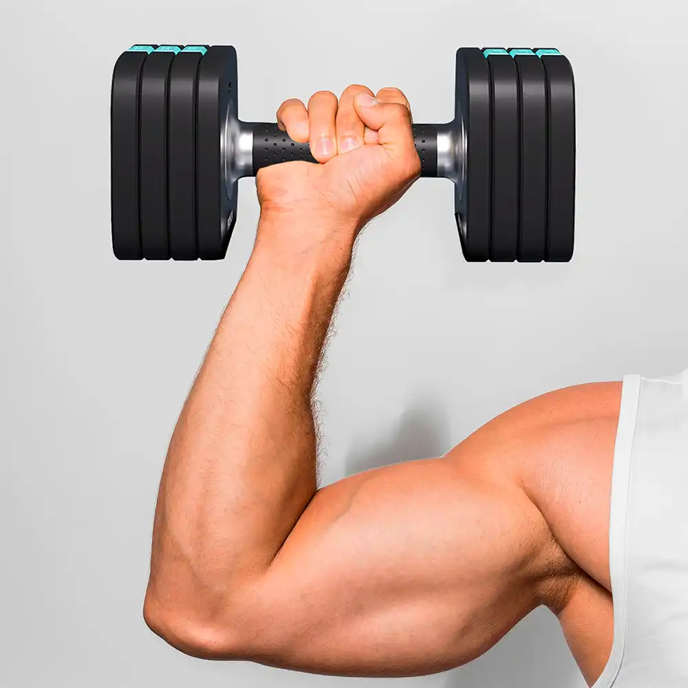 фото  Proiron Гантель разборная быстросъемная 1шт 10кг, арт. ГБ1100Р в интернет-магазине спортивных товаров МЯЧИКИ