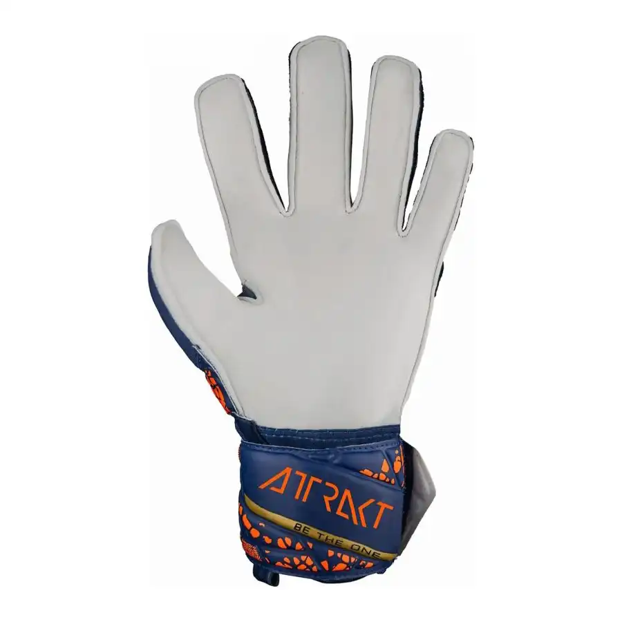 фото Вратарские перчатки REUSCH Attrakt Grip Blue в интернет-магазине спортивных товаров МЯЧИКИ
