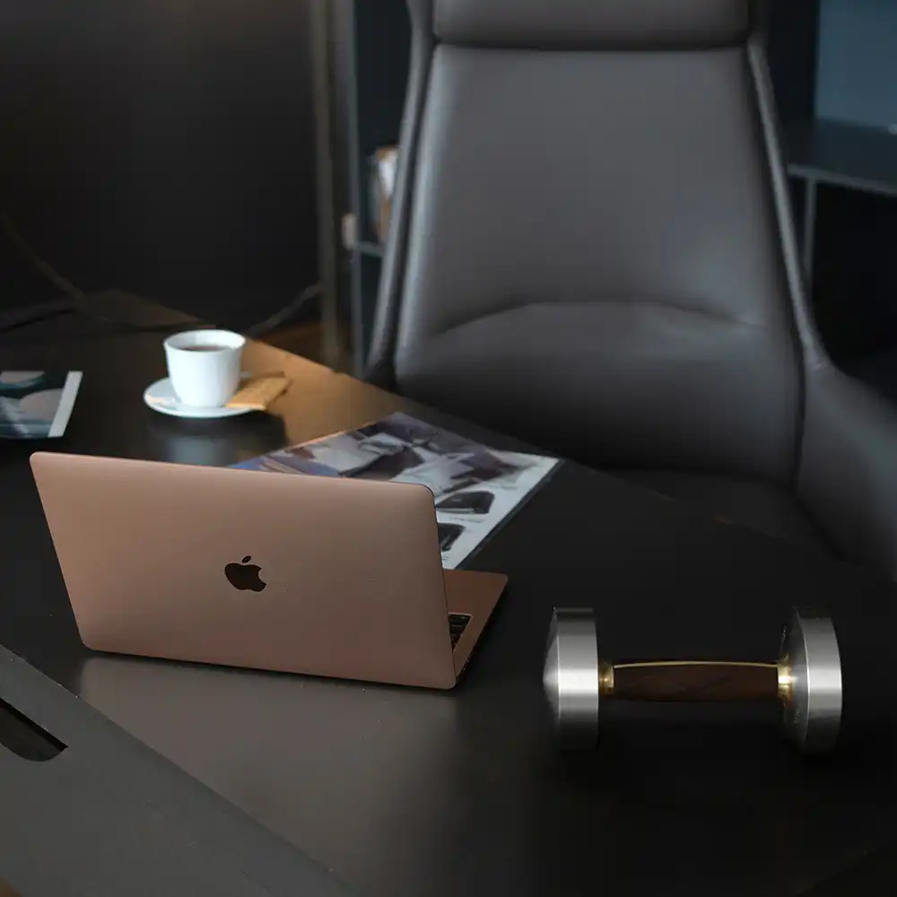 фото Proiron Гантель из нержавеющей стали и черного дерева 6 кг, арт. Г1060НЧ в интернет-магазине спортивных товаров МЯЧИКИ