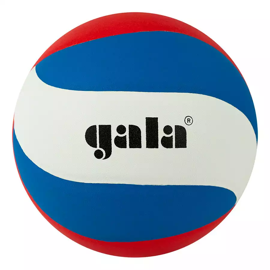 фото Мяч волейбольный Gala Pro-Line 10