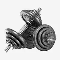 фото Proiron Гантели разборные из чугуна 2шт. по 7,5кг, арт. Г2075Ч в интернет-магазине спортивных товаров МЯЧИКИ