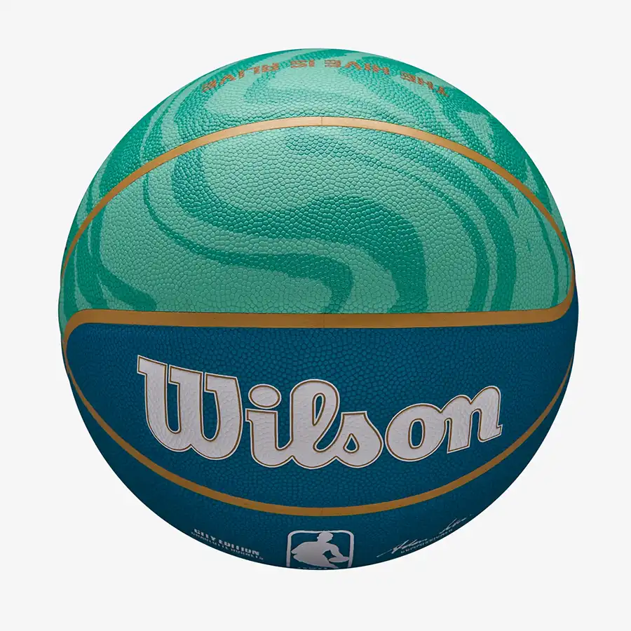 фото Мяч баскетбольный 7 Wilson NBA TEAM CITY COLLECTOR Charlotte Hornets