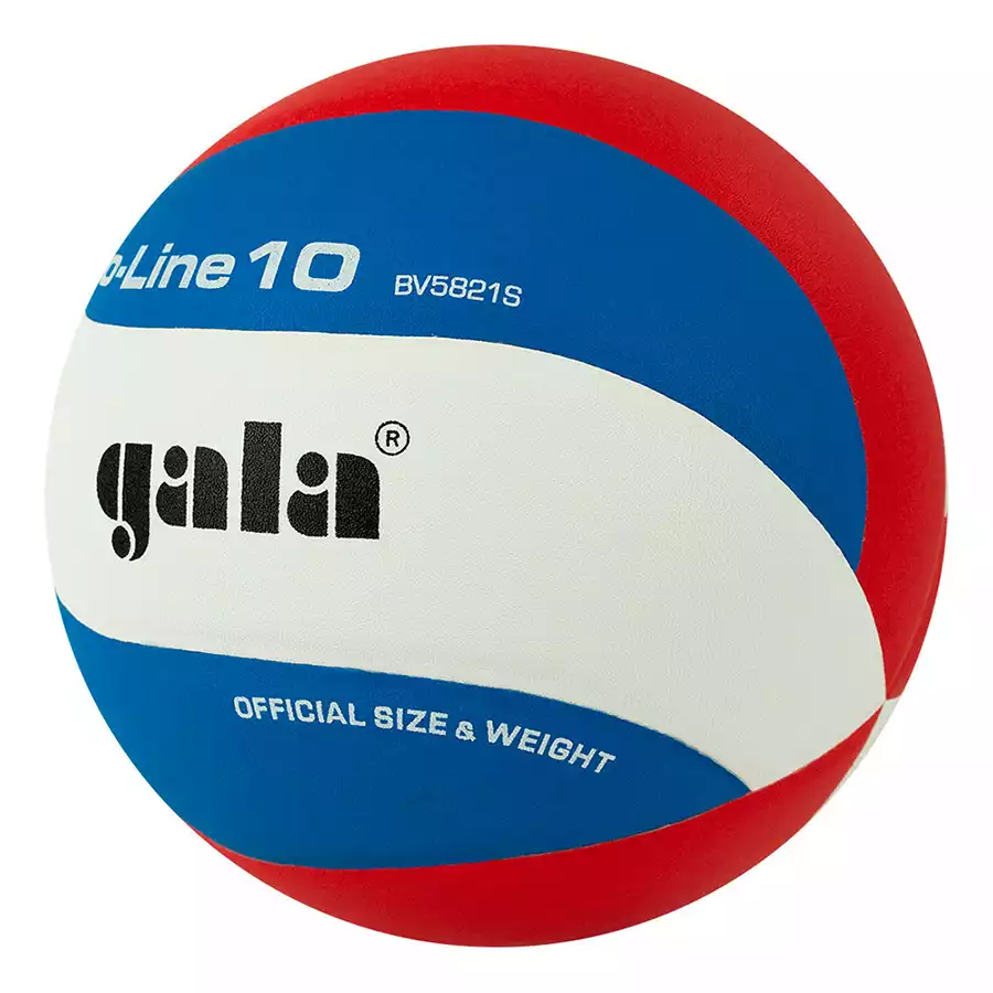 фото Мяч волейбольный Gala Pro-Line 10
