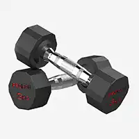 фото Proiron Гантели обрезиненные 2шт по 3кг, арт. Г2030ОБР в интернет-магазине спортивных товаров МЯЧИКИ