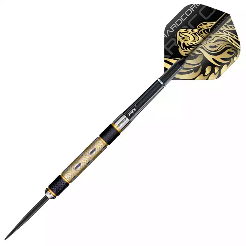 фото Red Dragon Golden Eye 1 22gr. 85% вольфрам. Дротики для дартса в интернет-магазине спортивных товаров МЯЧИКИ