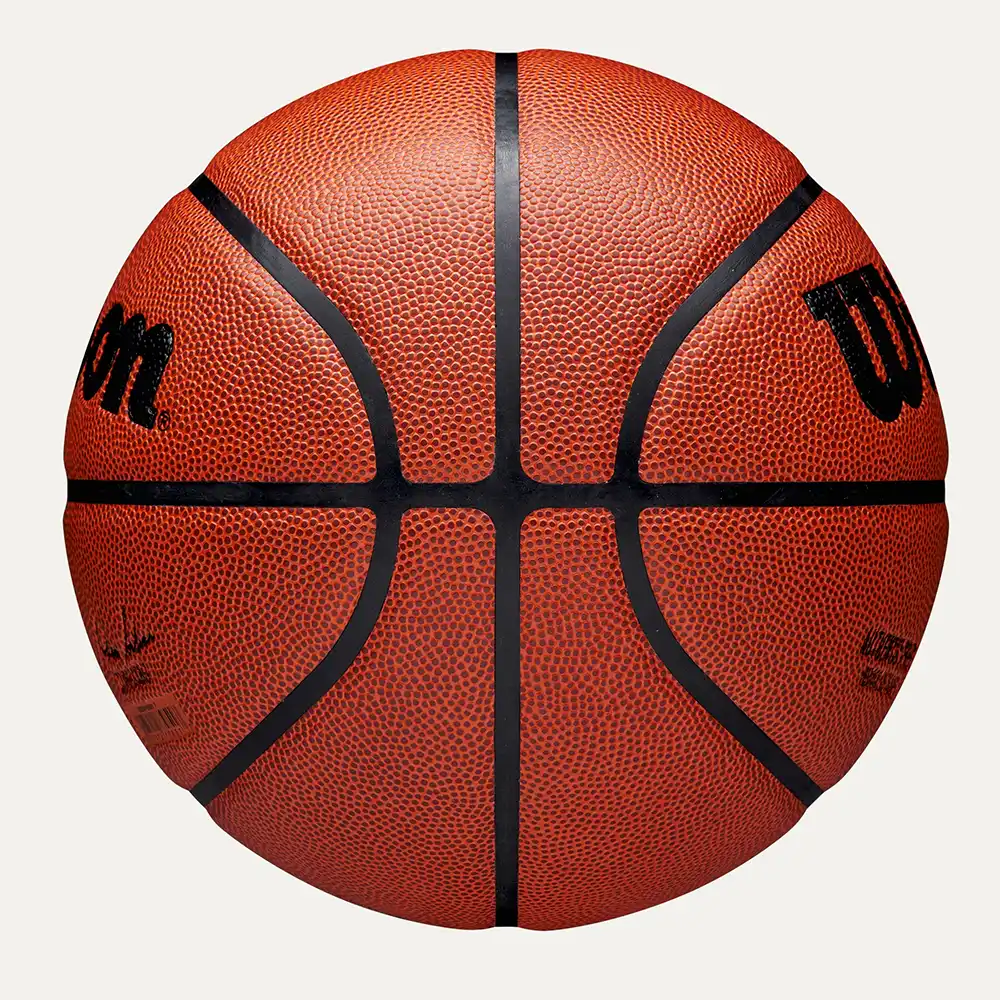 фото Мяч баскетбольный 6 Wilson NBA Authentic Indoor/Outdoor