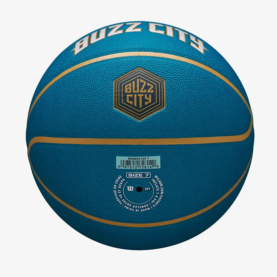 фото Мяч баскетбольный 7 Wilson NBA TEAM CITY COLLECTOR Charlotte Hornets