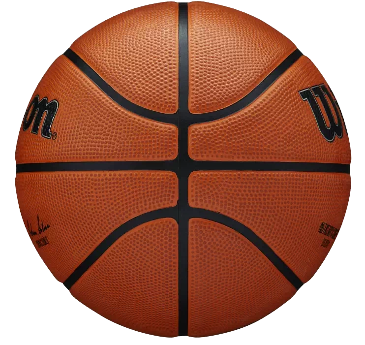 фото Мяч баскетбольный 7 WILSON NBA Authentic Outdoor