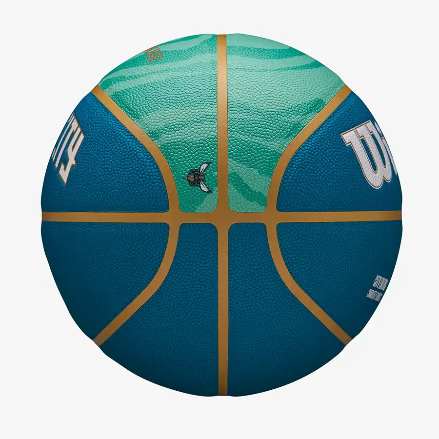 фото Мяч баскетбольный 7 Wilson NBA TEAM CITY COLLECTOR Charlotte Hornets