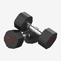 фото Proiron Гантели обрезиненные 2шт по 10кг, арт. Г2100ОБР в интернет-магазине спортивных товаров МЯЧИКИ