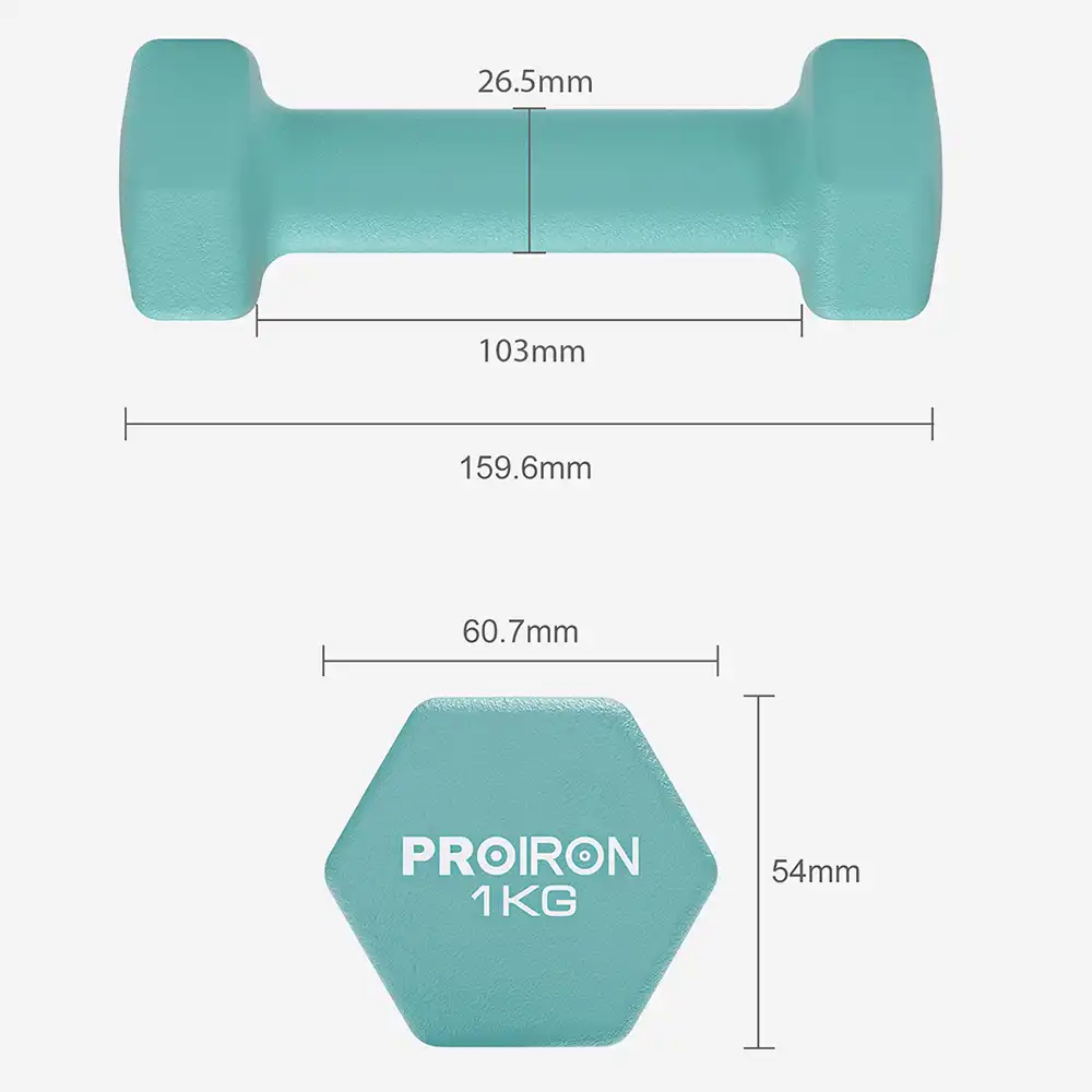 фото Proiron Гантели неопреновые гексагональные 2шт по 1кг, арт. Г2010НГ в интернет-магазине спортивных товаров МЯЧИКИ
