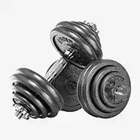 фото  Proiron Гантели разборные из чугуна с грифом 2шт по 15кг, арт. Г2150Ч в интернет-магазине спортивных товаров МЯЧИКИ