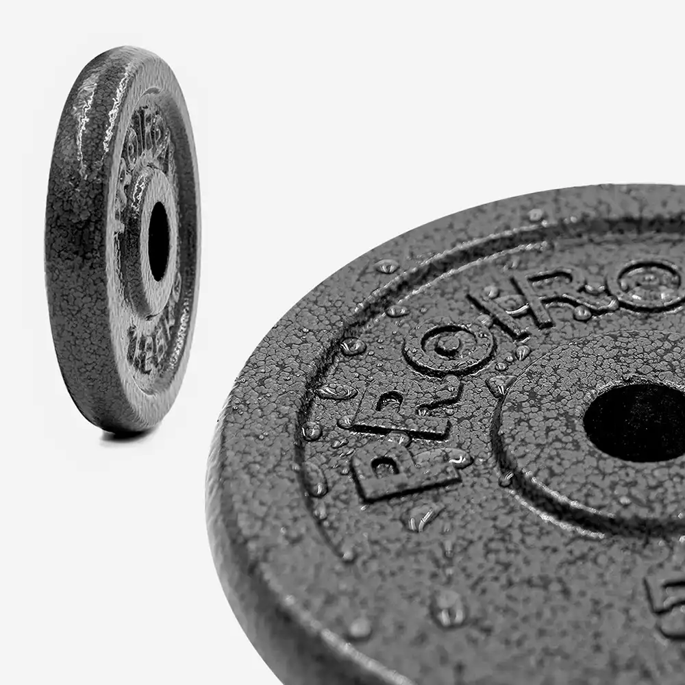 фото  Proiron Гантели разборные из чугуна с грифом 2шт. по 10кг, арт. Г2100Ч в интернет-магазине спортивных товаров МЯЧИКИ