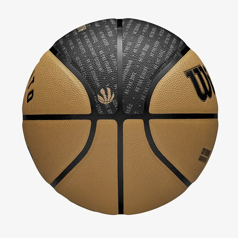 фото Мяч баскетбольный 7 Wilson NBA TEAM CITY COLLECTOR Toronto Raptors