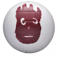 фото Волейбольный мяч Wilson Nova Light Vb