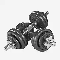 фото  Proiron Гантели разборные из чугуна с грифом 2шт. по 10кг, арт. Г2100Ч в интернет-магазине спортивных товаров МЯЧИКИ