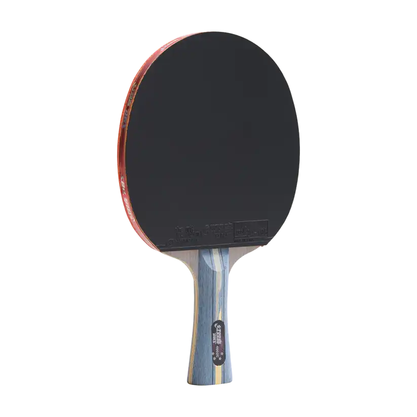 фото Ракетка для настольного тенниса DHS R4002C Carbon в интернет-магазине спортивных товаров МЯЧИКИ