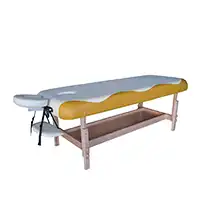 фото Массажный стационарный стол DFC SUPERIOR в интернет-магазине спортивных товаров МЯЧИКИ