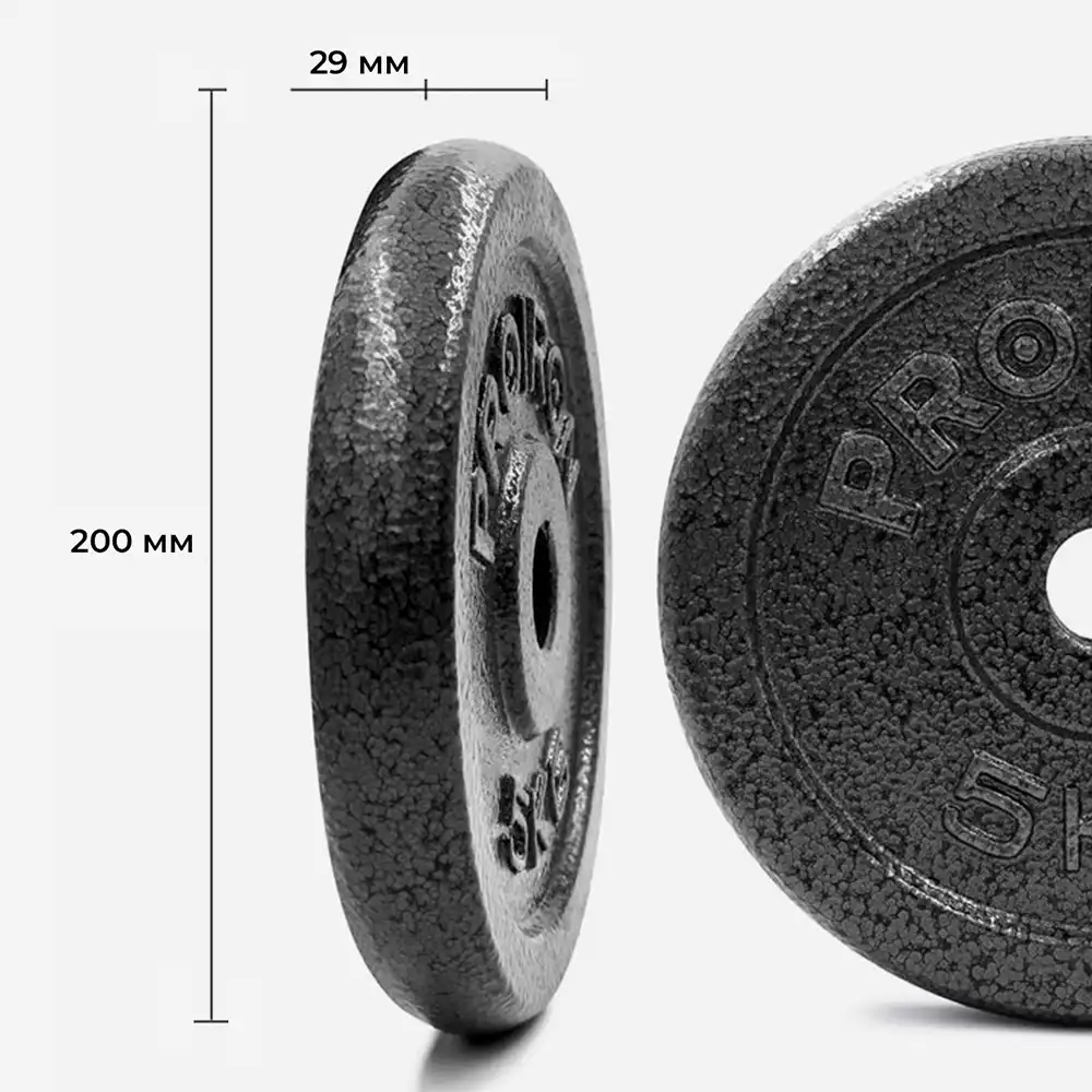 фото Proiron Набор чугунных дисков 2 х 5 кг, арт. НЧД2500 в интернет-магазине спортивных товаров МЯЧИКИ