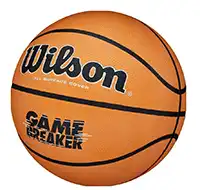 фото Мяч баскетбольный 5 WILSON Gambreaker Ball