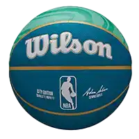 фото Мяч баскетбольный 7 Wilson NBA TEAM CITY COLLECTOR Charlotte Hornets