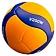 Волейбольные мячи
